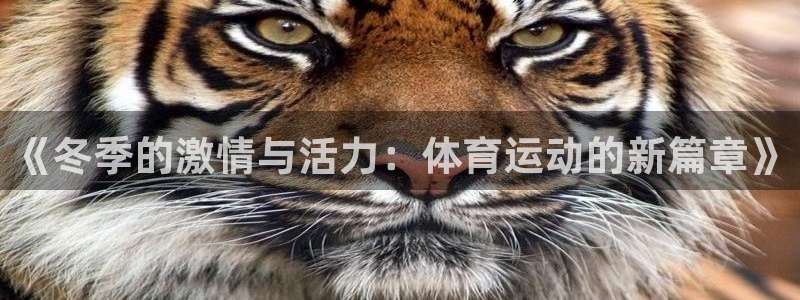 v站体育