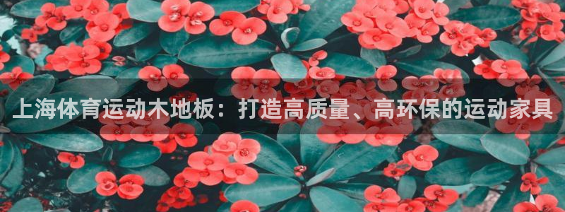 v站体育比分
