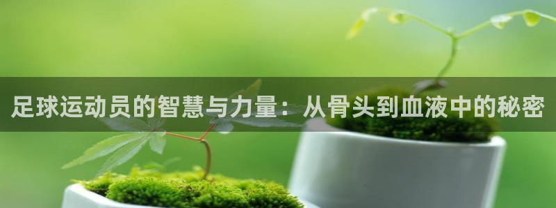 V站体育App下载