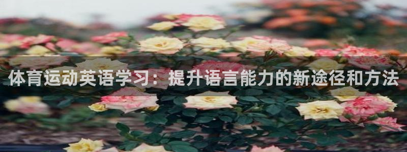 v站体育app下载安卓：体育运动英语学习：提升语言能力的新途径和方法